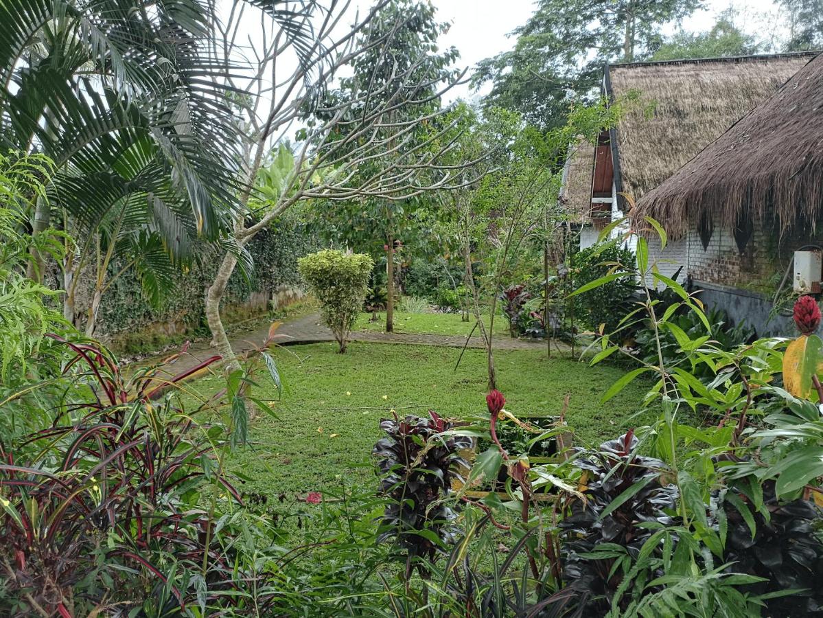 D'Bulan bungalows and kafe - B&B