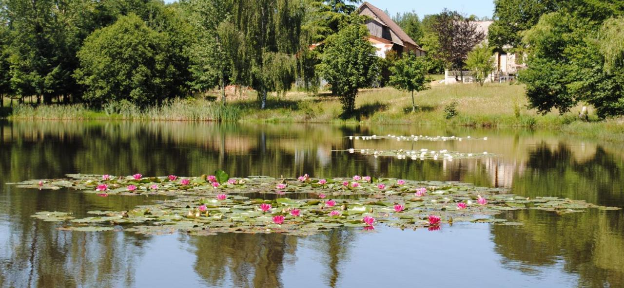Liabaquet Gîtes - B&B