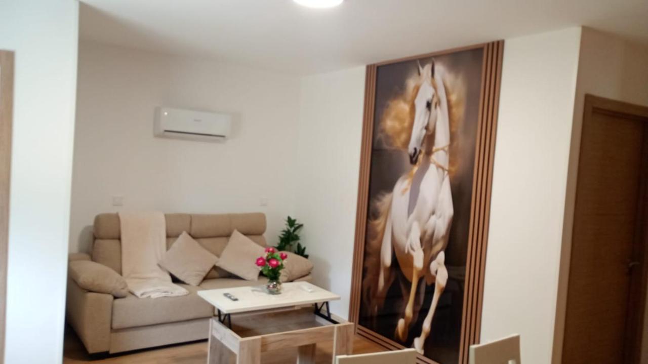 Apartamento Estándar de 1 dormitorio