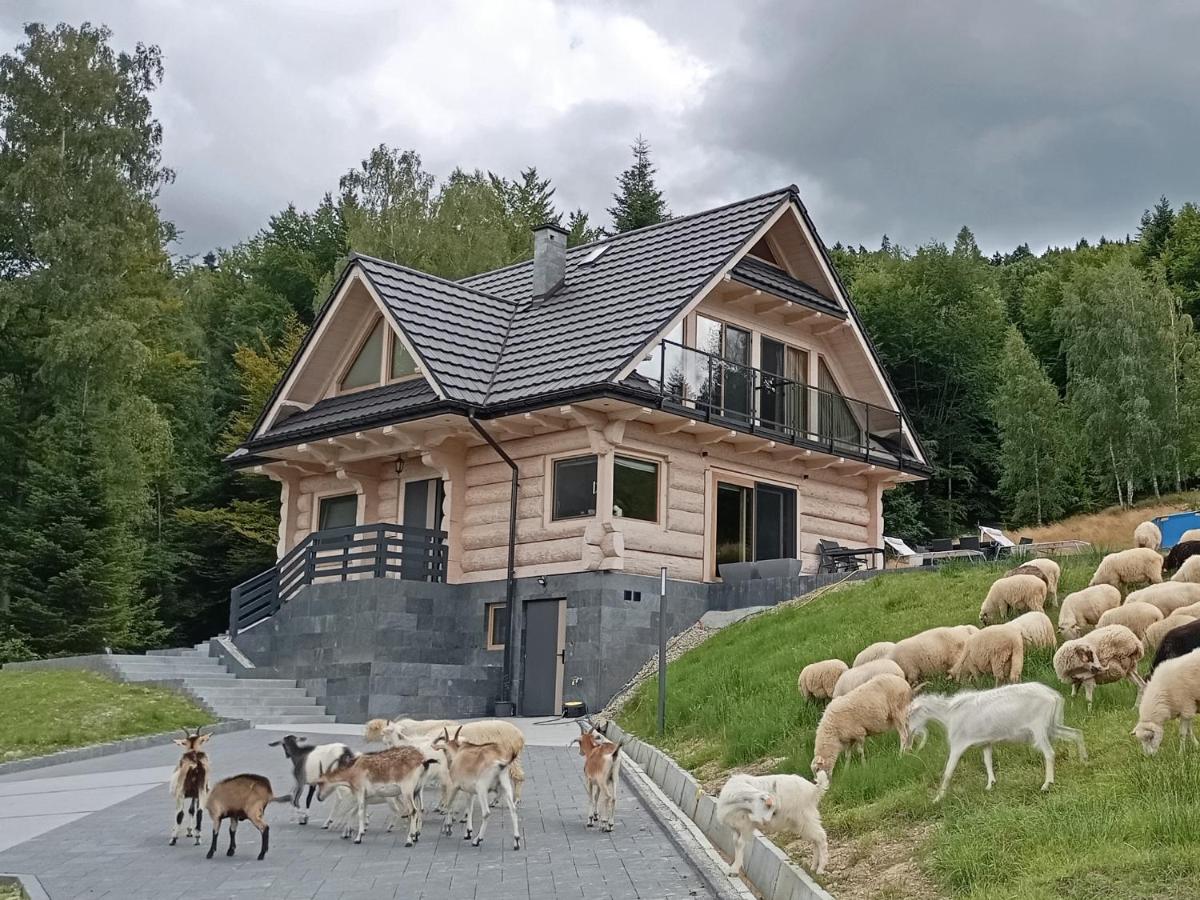Zielone Wzgórze - B&B