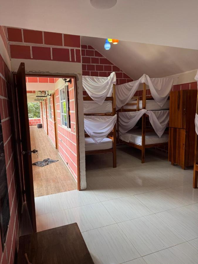 Bed in 6-Bed Female Dormitory Room