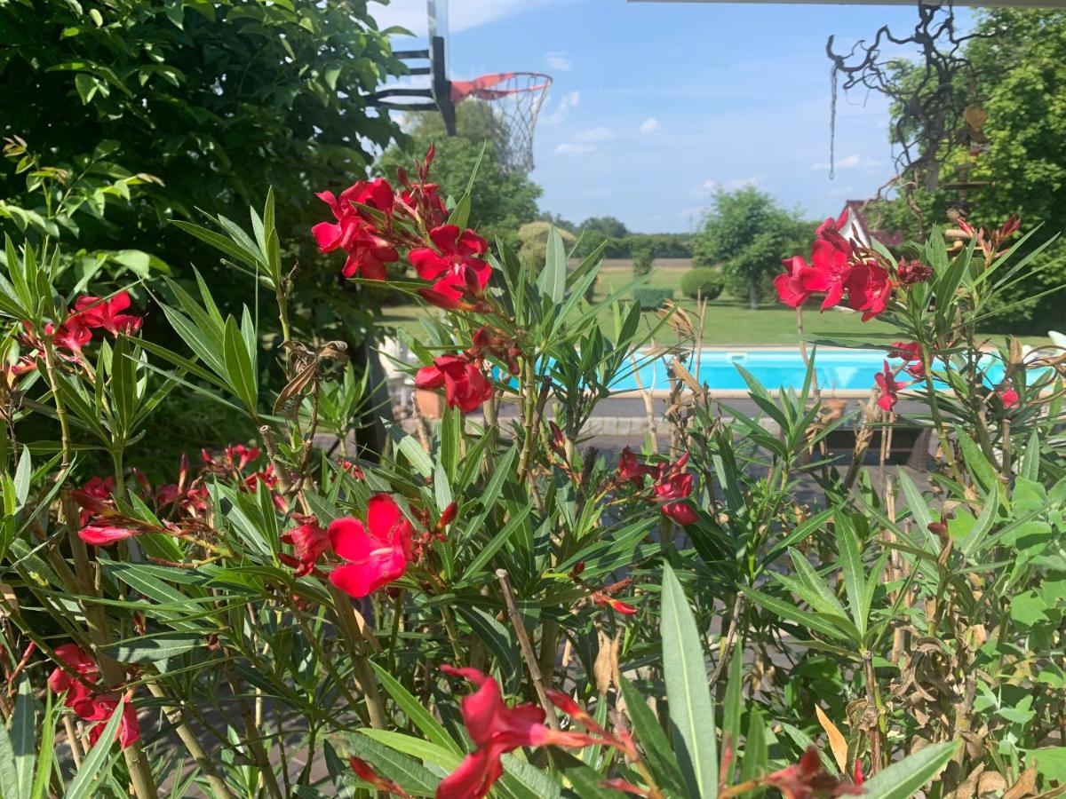 Haus Matti - B&B