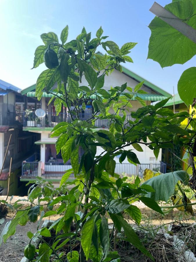 dibrugarh guest house - B&B Dibrugarh