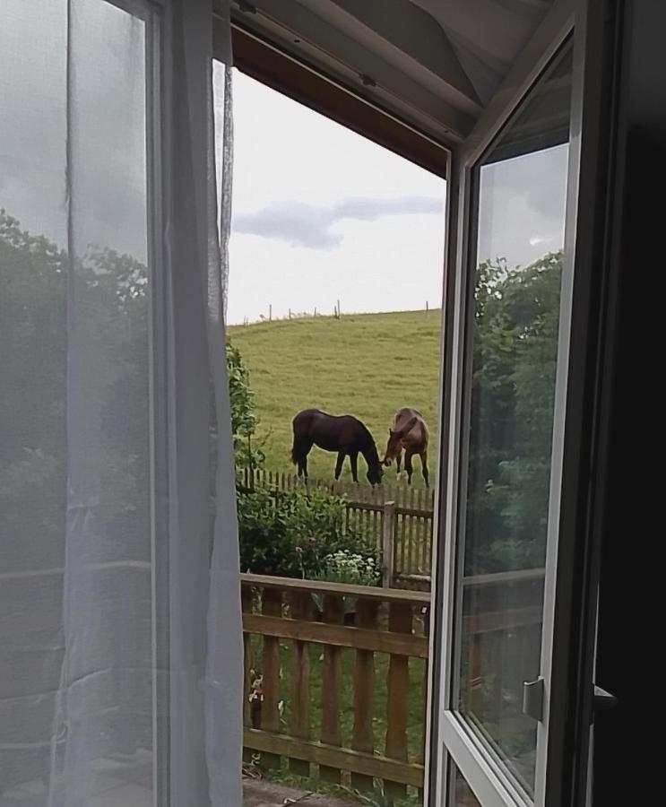 Ferienwohnung und DZ Wiesnblick - Ferienwohnung Auerbach