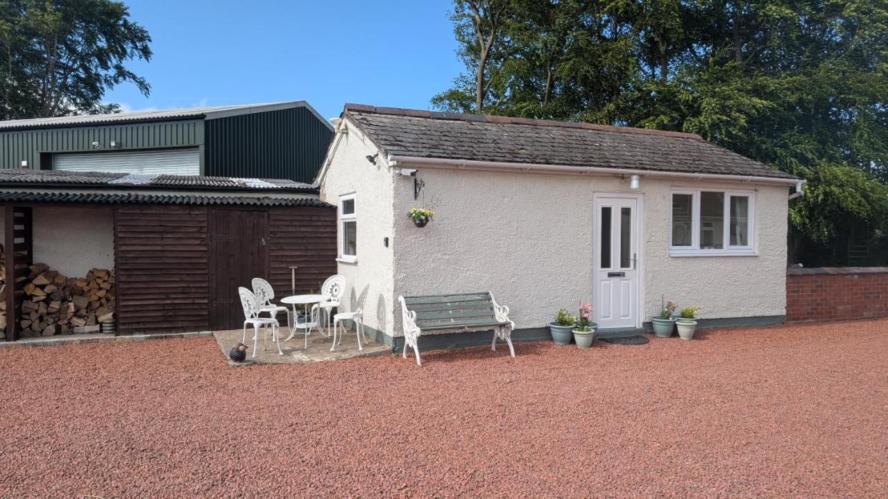 Cosy Coppice Cottage - B&B