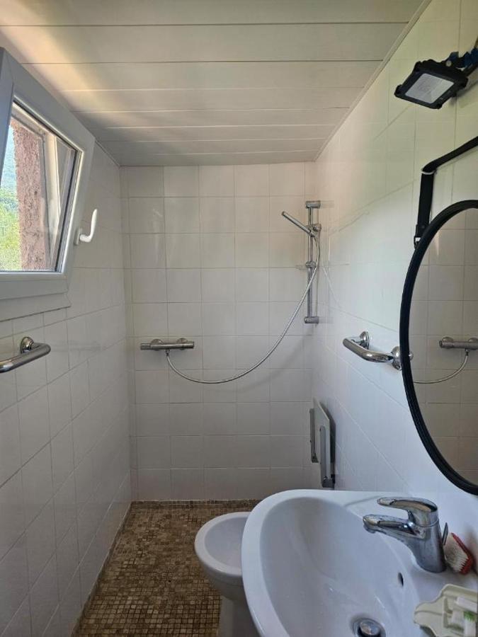 Single Bed in 4-Bed Dormitory Room