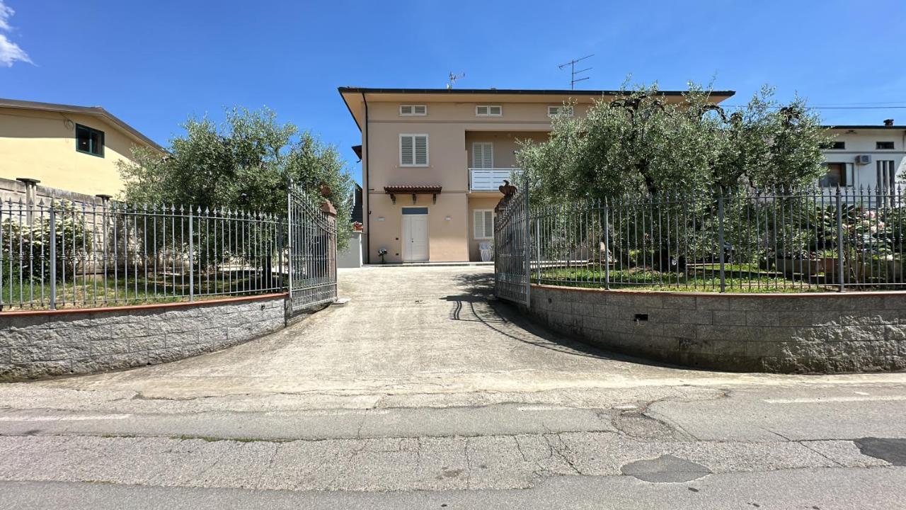 Casa in mezzo agli Ulivi - B&B Lamporecchio