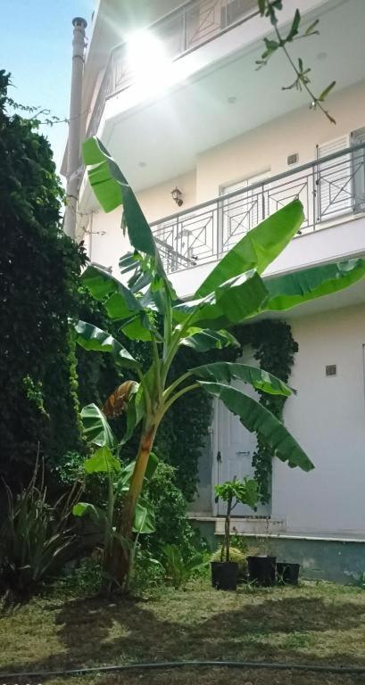 VDA Kalamata - B&B Kalamata