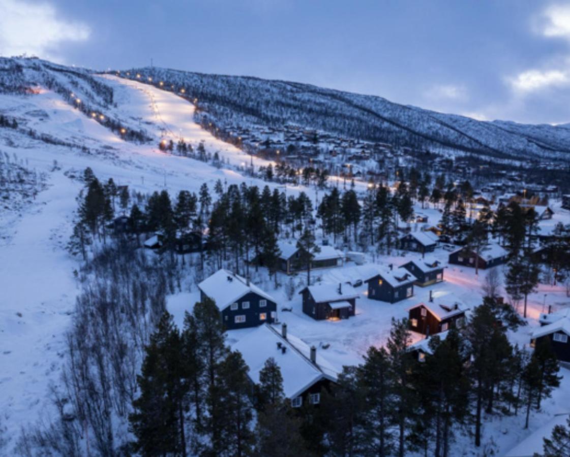 4-Bedroom Ski-In Family Cabin at Geilolia hyttetun - Chambres d’hôtes Hol