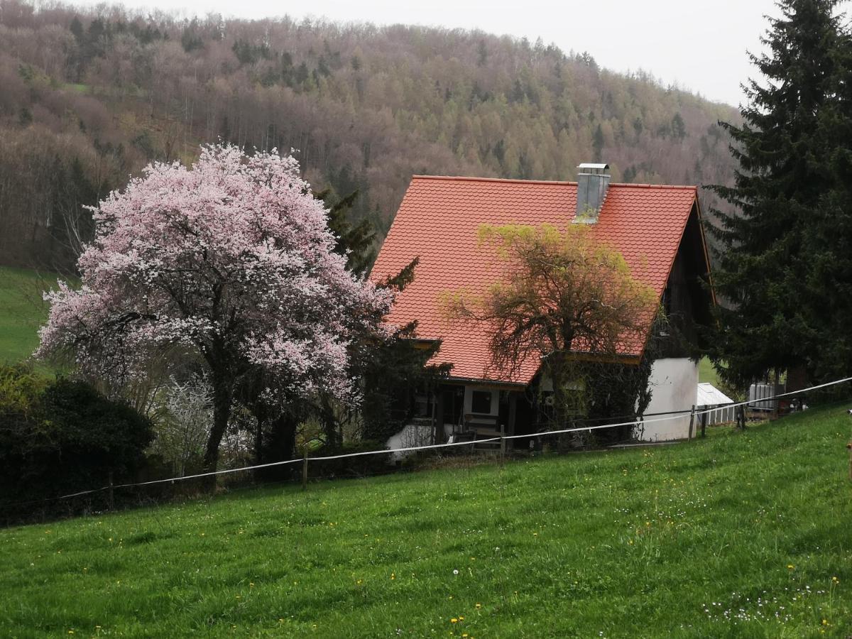 Ferienhaus Aschoff - B&B