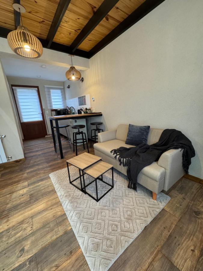 Appartamento Deluxe con 1 Camera da Letto e Vista Giardino