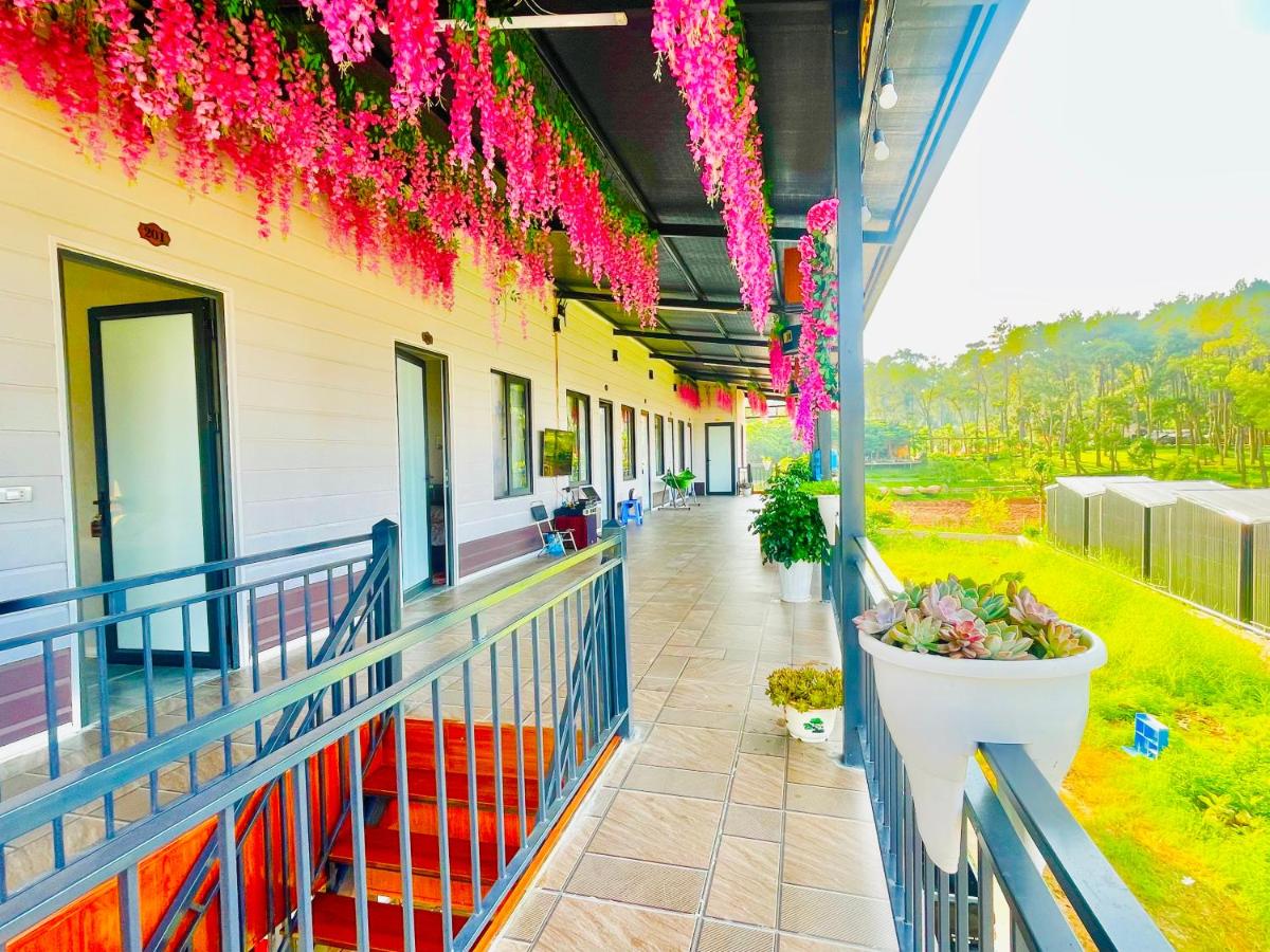 Gaubong House - Bed and Breakfast Mộc Châu