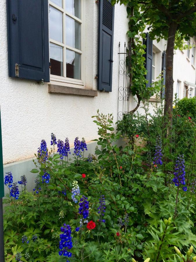 SEELIG`S - Bed and Breakfast