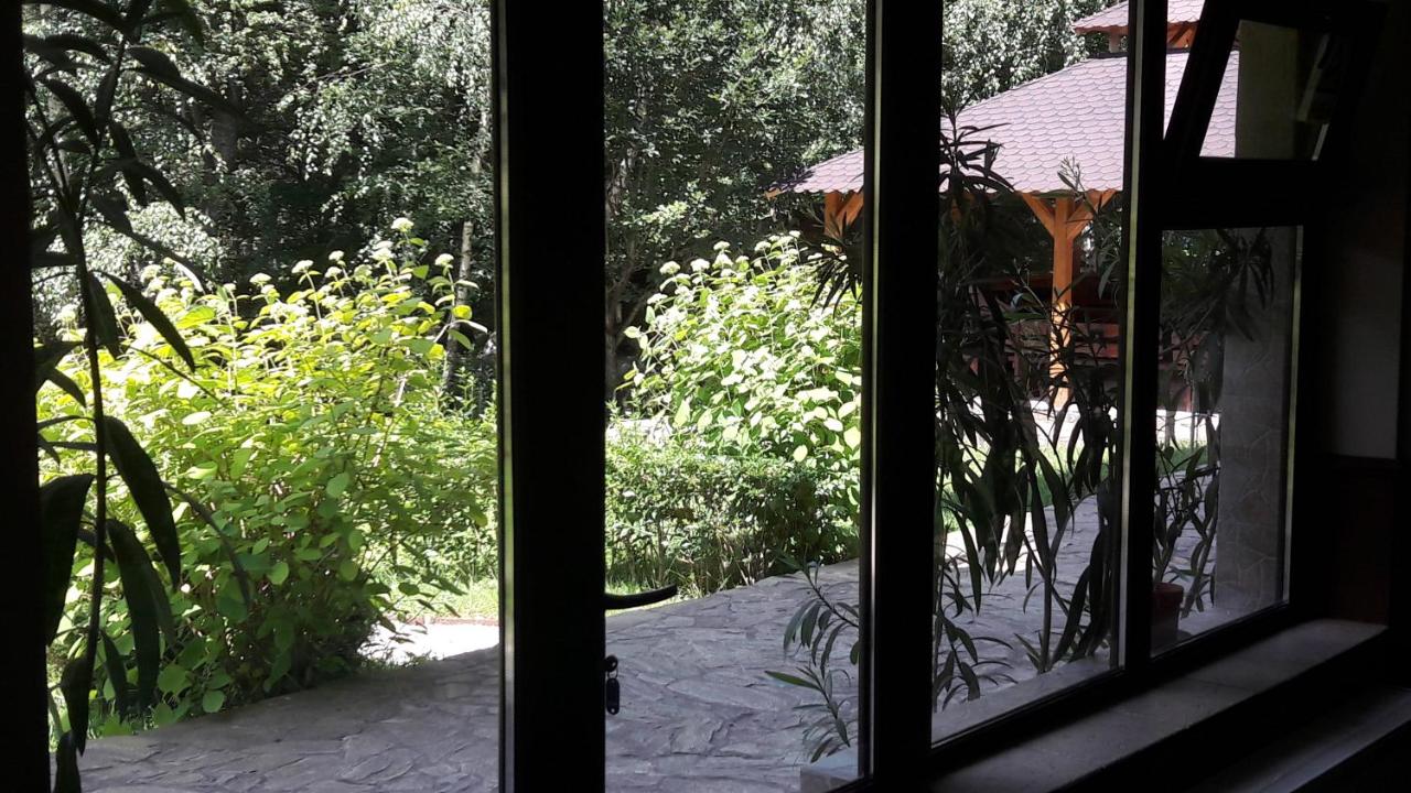 Casa Lacului - B&B Malaia