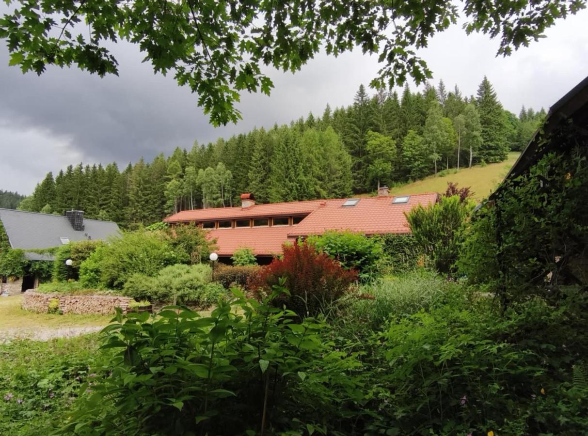 Chatka Trapera - B&B
