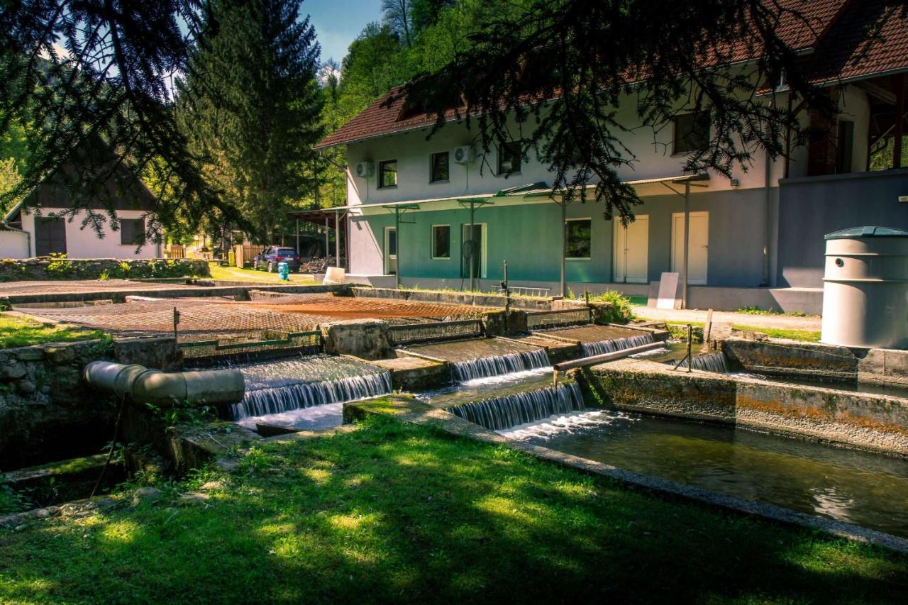 Stara ribogojnica & Pohorska postrv - B&B