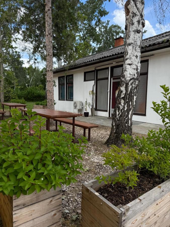 Diófa apartman - Bácsalmás - B&B