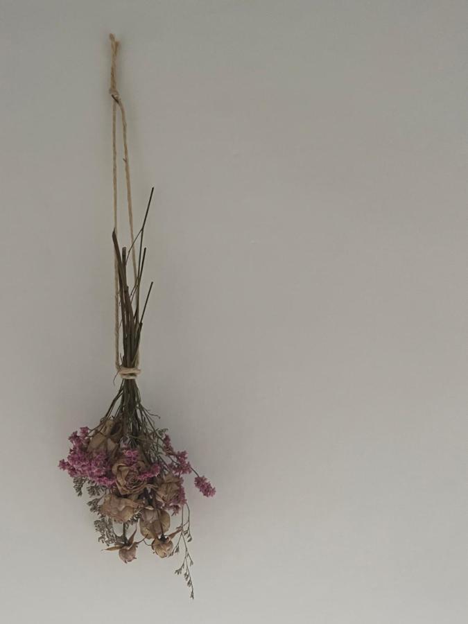 Locazione Culturale - Short Rent in Atri - - Chambres d’hôtes Atri