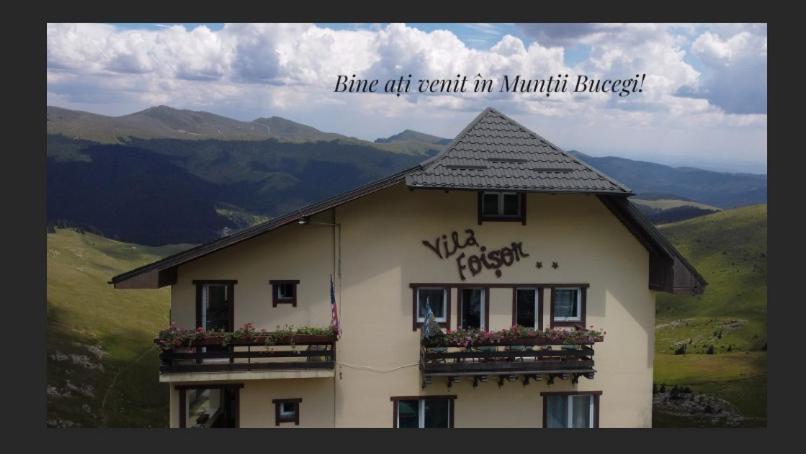 Vila Foișor - Chambres d’hôtes Buşteni