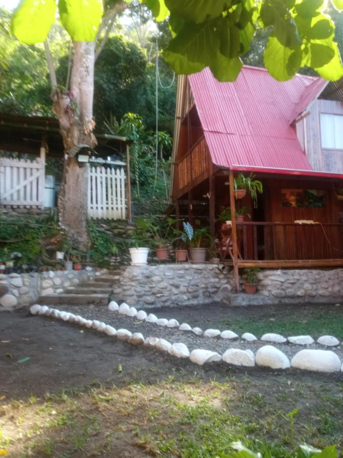 Montañita Lodge - B&B
