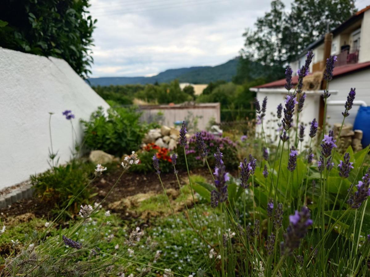 Wohnung Liana mit Blick zur Burg - B&B