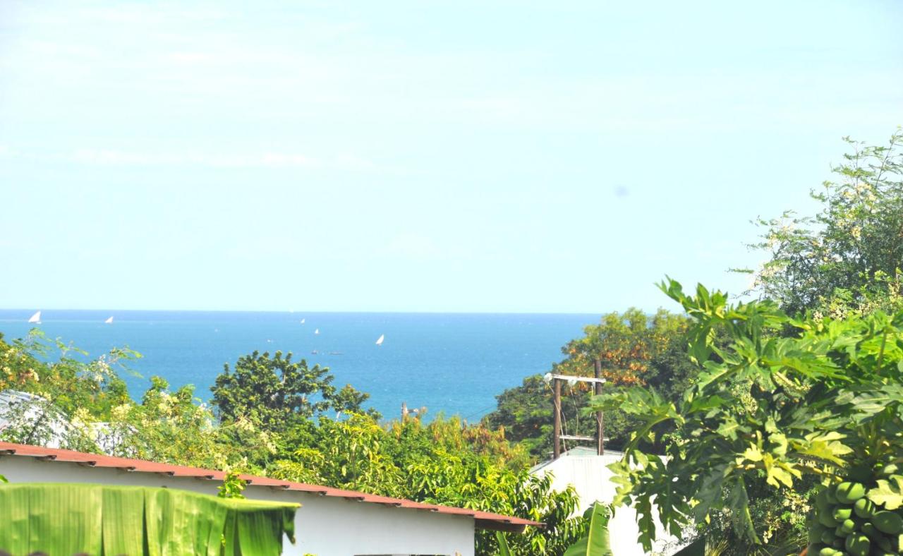Bamboo Garden B&B - B&B Kendwa