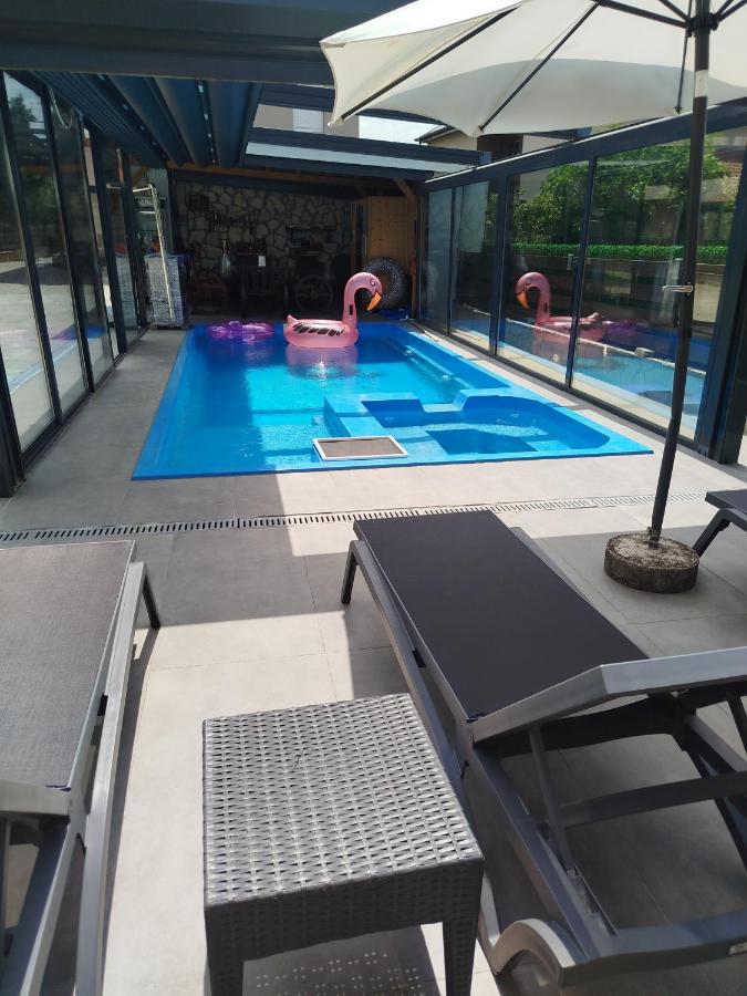 Dorotea Apartment - B&B Ocrida