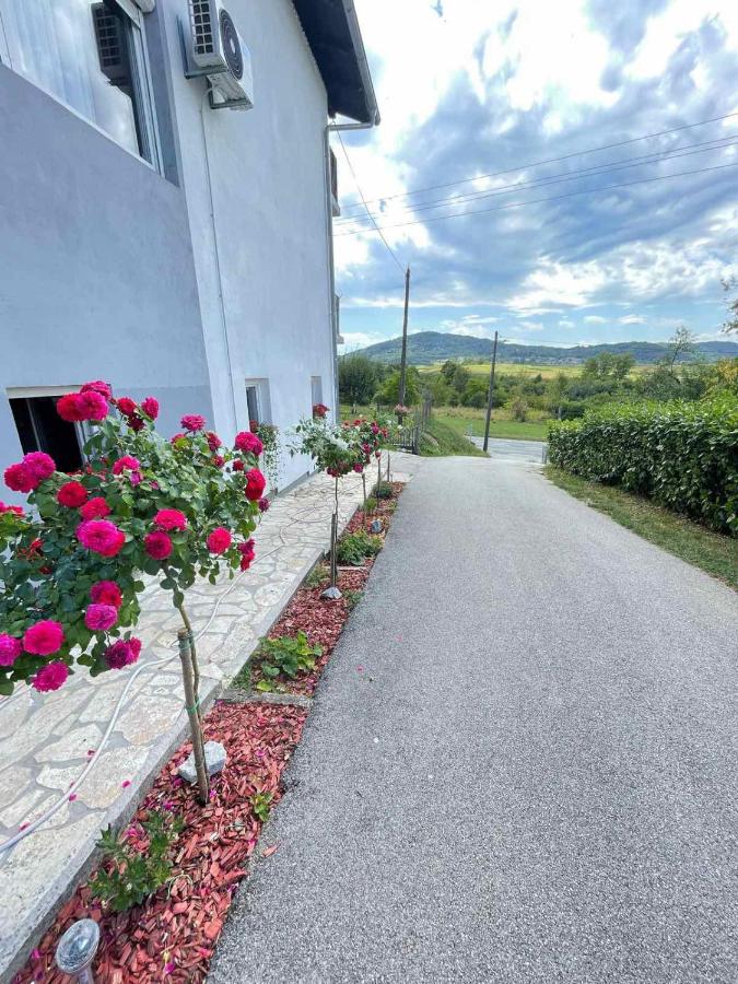 Apartman Antonio - B&B