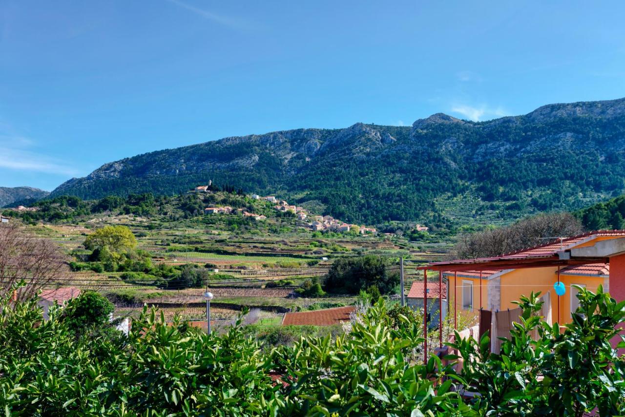 Holiday Home Leonida - B&B