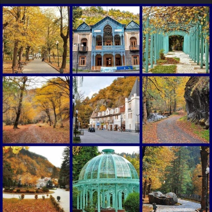 Park flat - B&B Borjomi