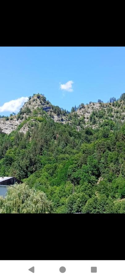Apartament Catrys - B&B Brezoi