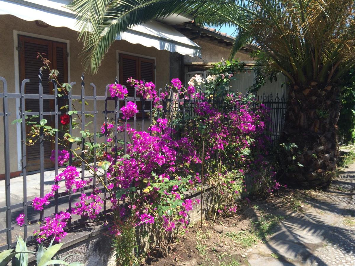 Il Nido sul mare a Forte dei Marmi - B&B