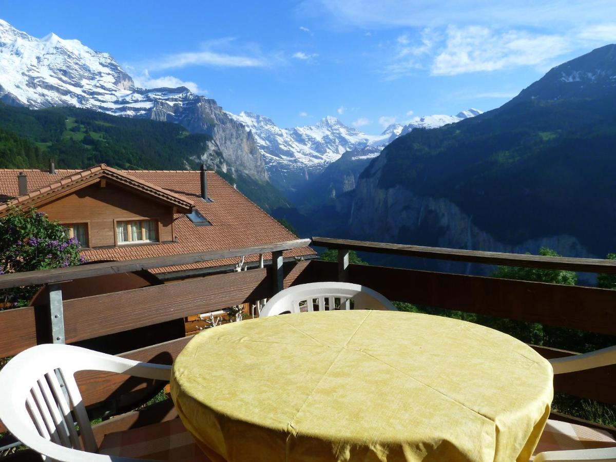 Chalet Gerbera 2 - Chambres d'hôtes Wengen
