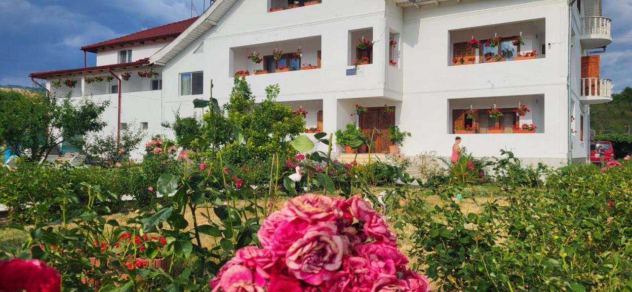 Pensiunea Ela Novaci - B&B Novaci