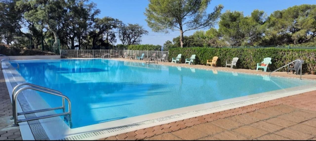 Spacious house with pool close to the sea - B&B Saint-Raphaël