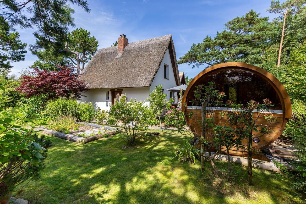 Grüne Düne - B&B Wustrow