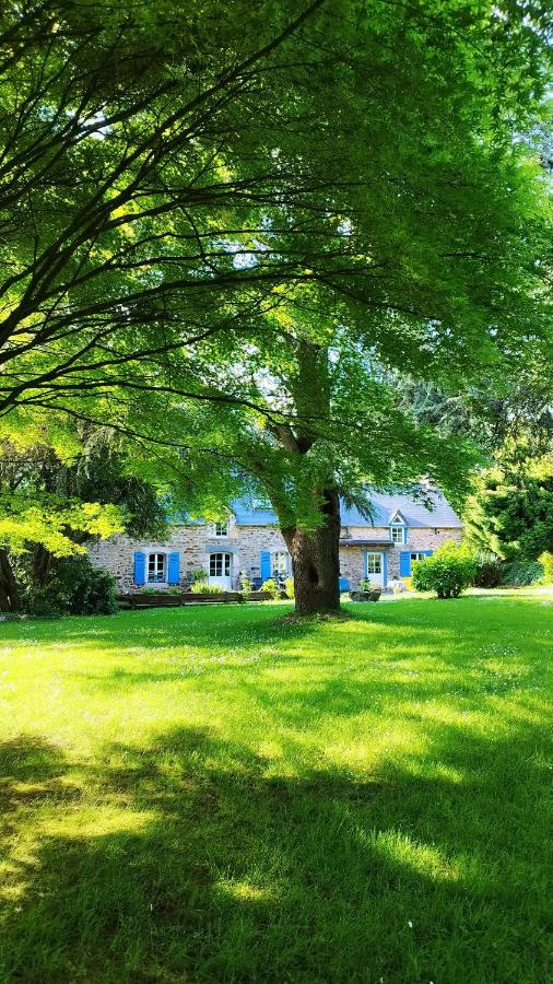 La suite d'Anna - B&B