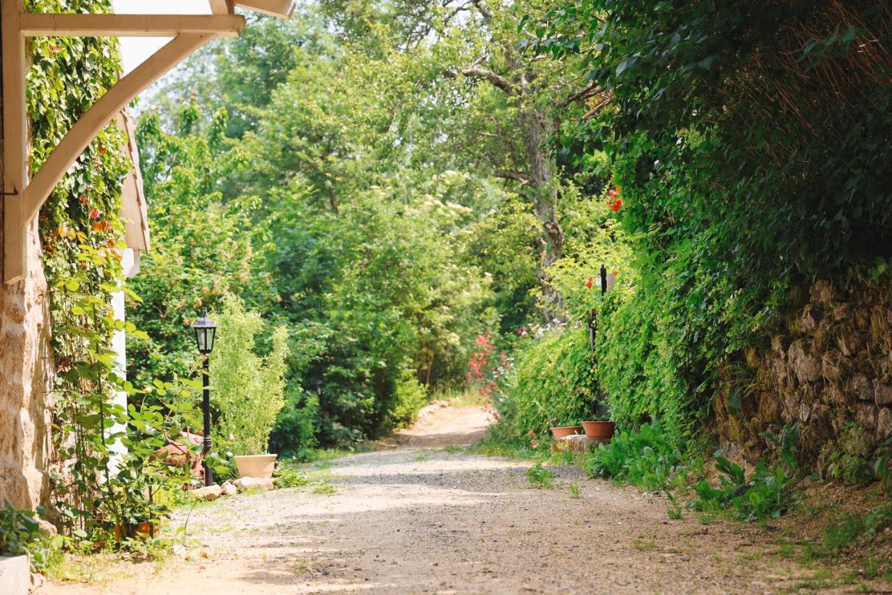 Les Grangeonnes, gîtes nature, piscine, bain nordique, sauna pour accueil familiale ou de groupe - B&B