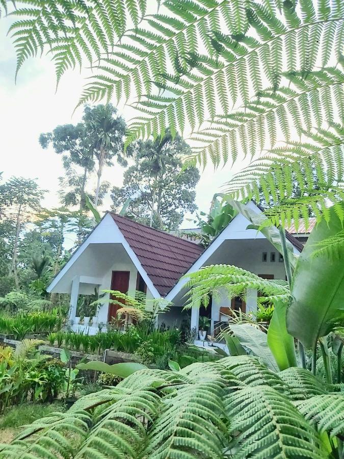 Stokel Cottage - B&B Praya