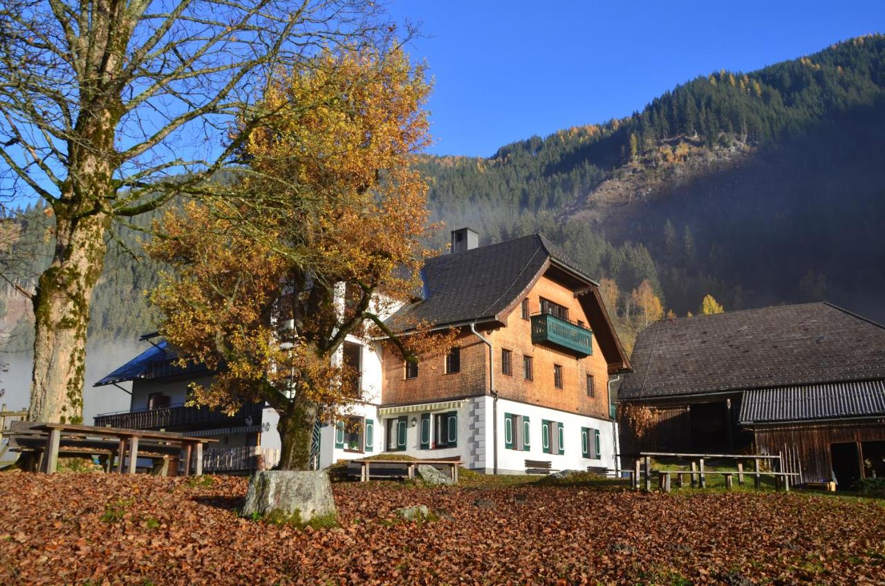 Tetter - Ferienwohnung Schladming