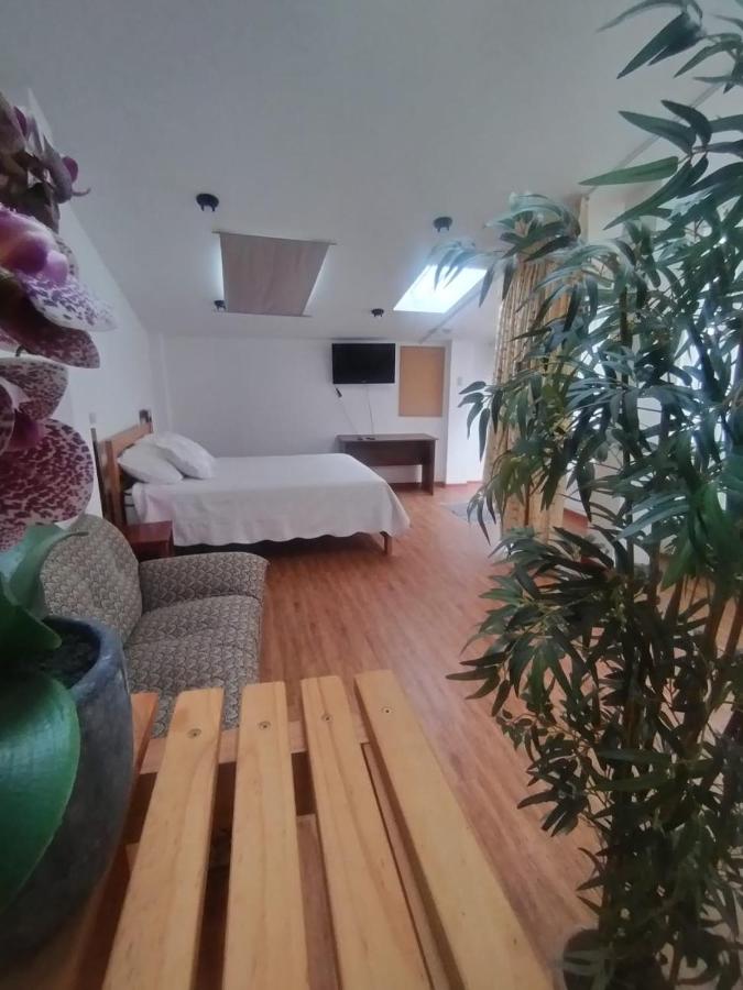 King Studio with Sofa Bed