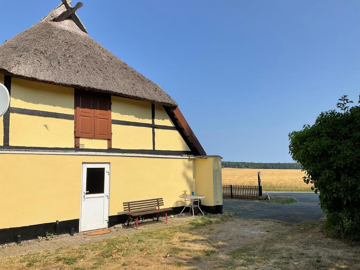 Apartment mit 1 Schlafzimmer und Terrasse