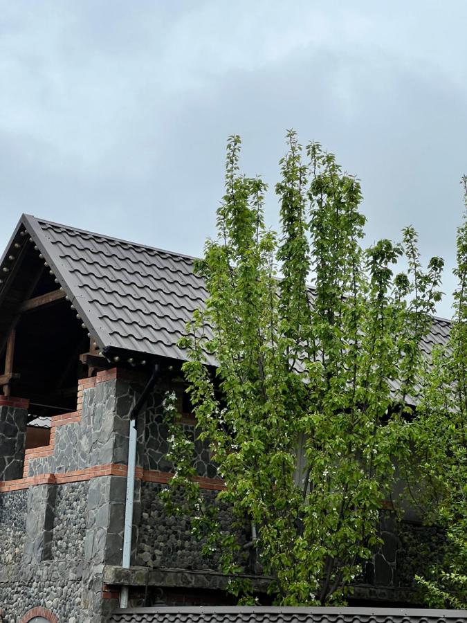 QahramanoffsChalet - B&B Gabala