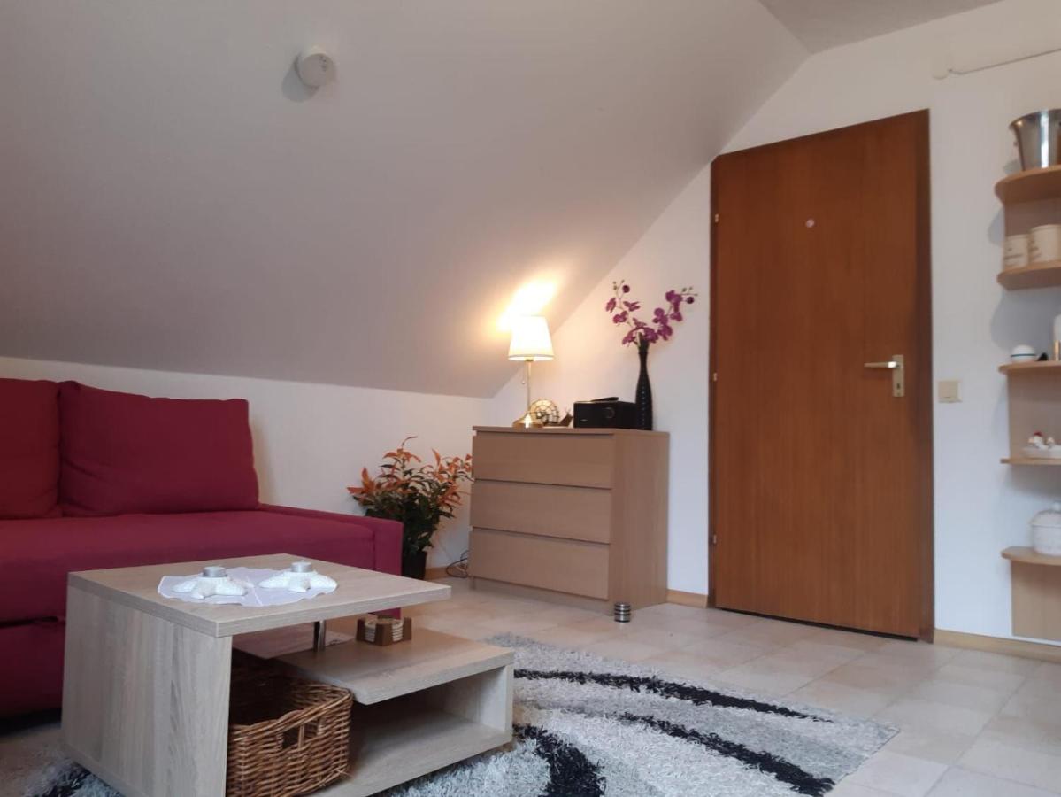 One-Bedroom Apartment with Shower