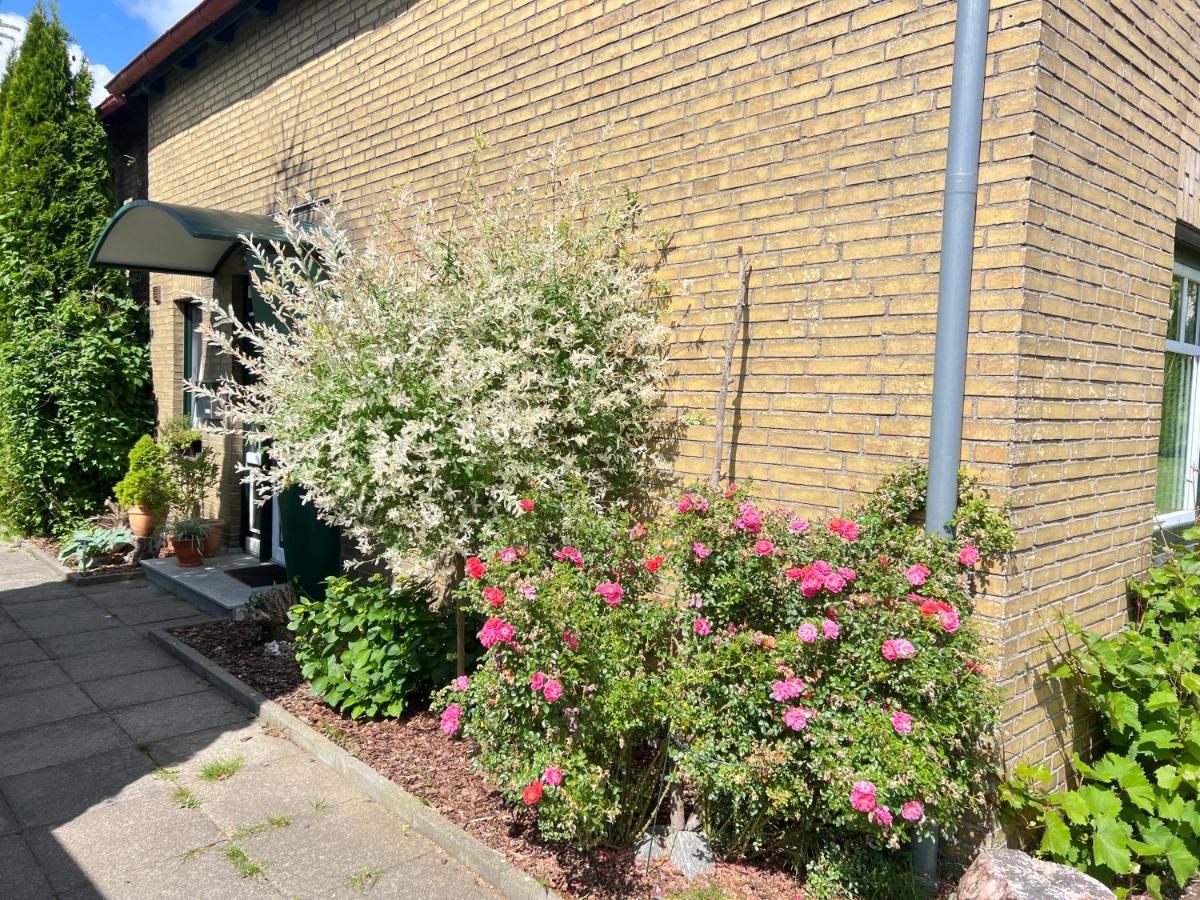 FeWo Zwischen Nord- und Ostsee - B&B Dörpstedt