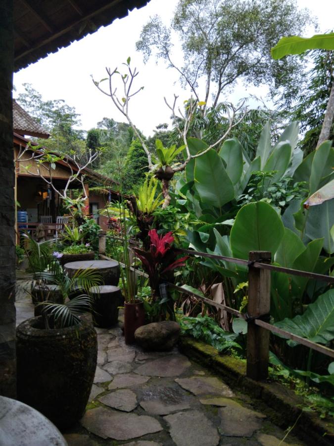 Umah mimpi - Ferienwohnung Tampaksiring