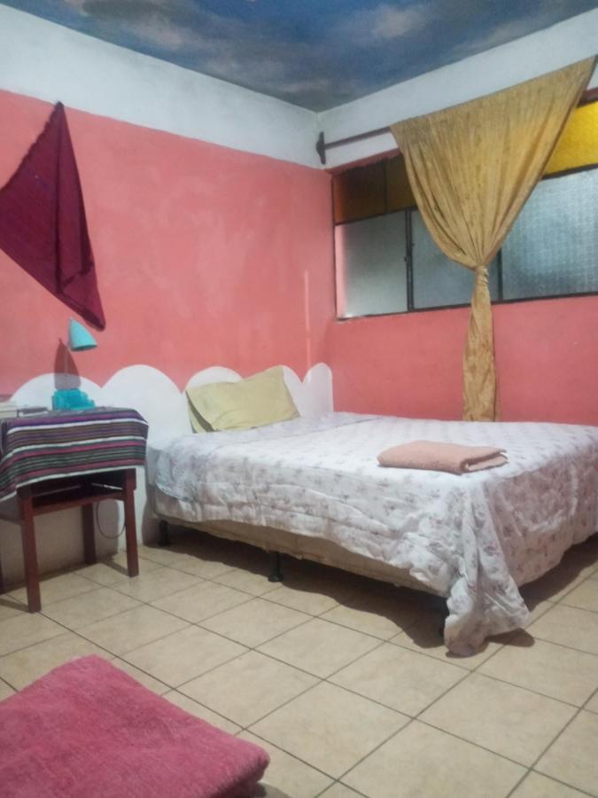 House the Cats - B&B Panajachel