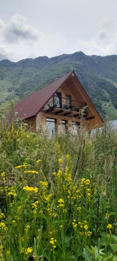 Mountain flower cottage - Bed and Breakfast Stepantsminda