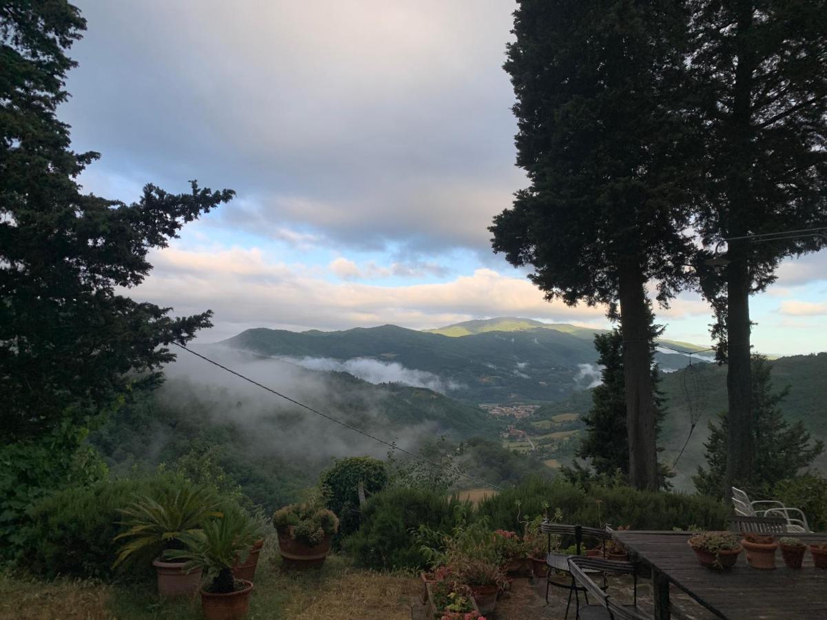 La Felce e il Mirtillo - Bed and Breakfast Il Palazzo