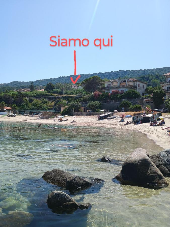 Casa di Giorgio-fronte spiaggia-vicino Tropea - B&B Pizzo